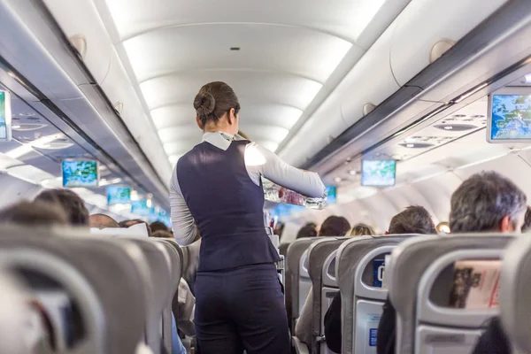 Domestic flights